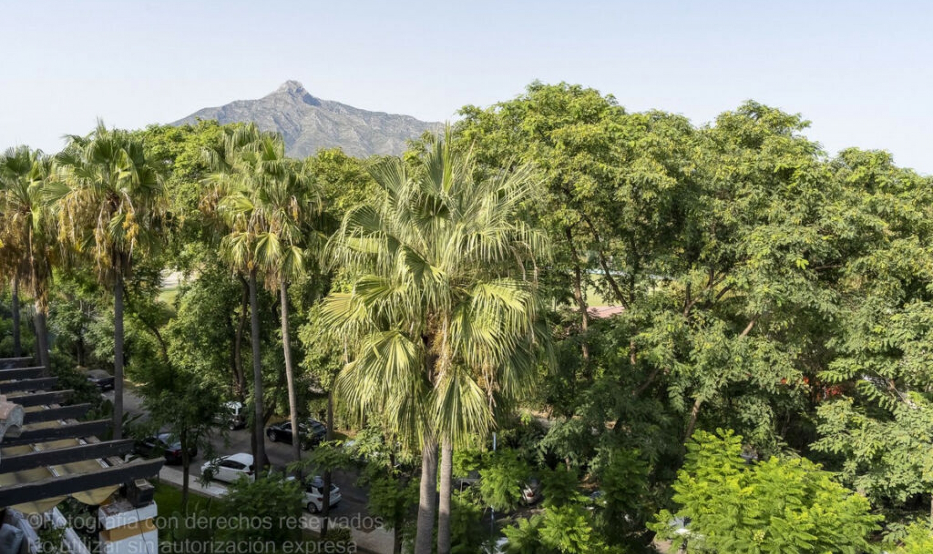 Resale - Apartment -
Puerto Banús