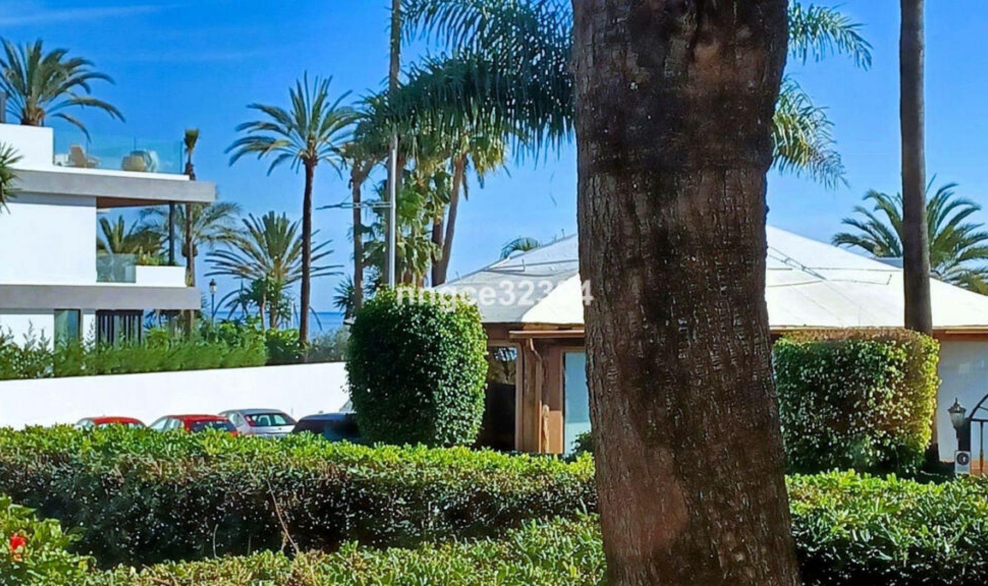 Resale - Apartment -
San Pedro de Alcántara