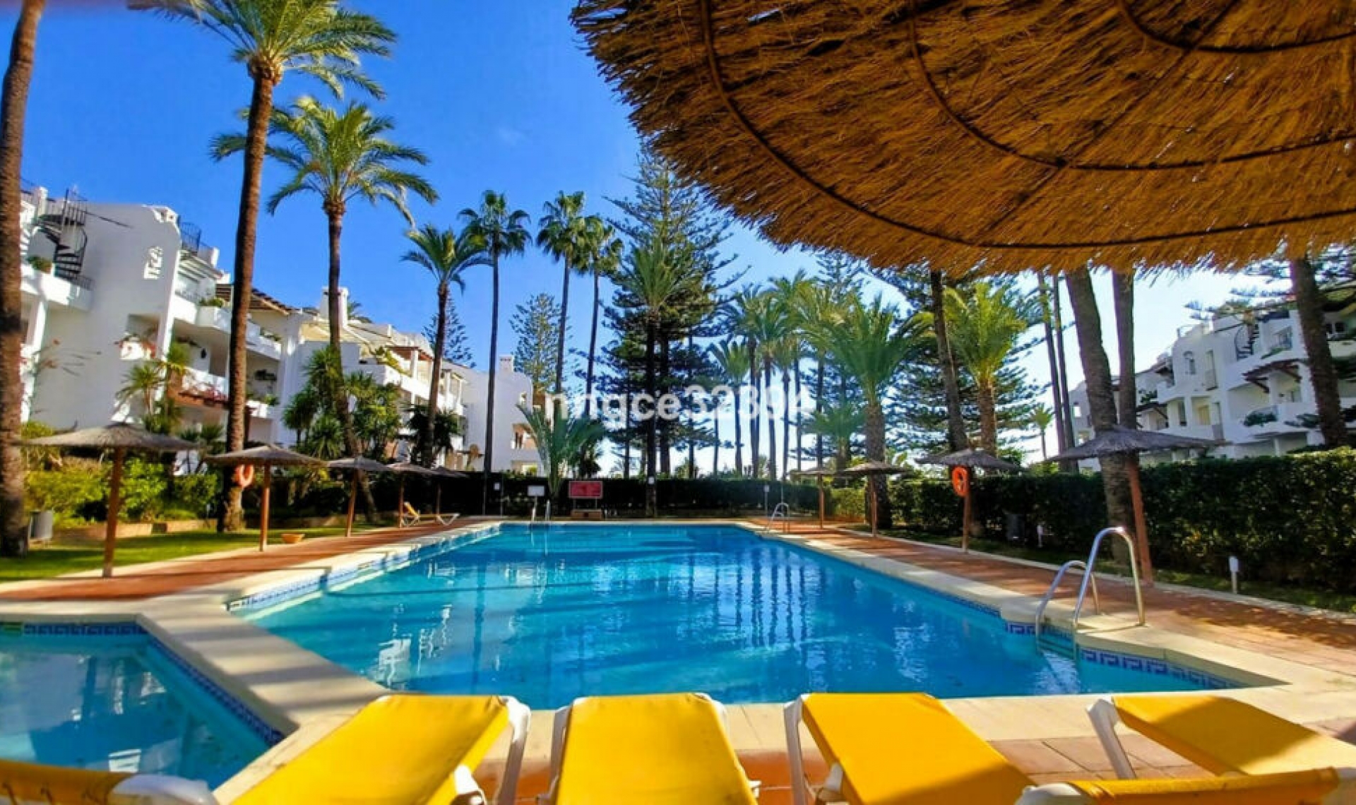 Resale - Apartment -
San Pedro de Alcántara