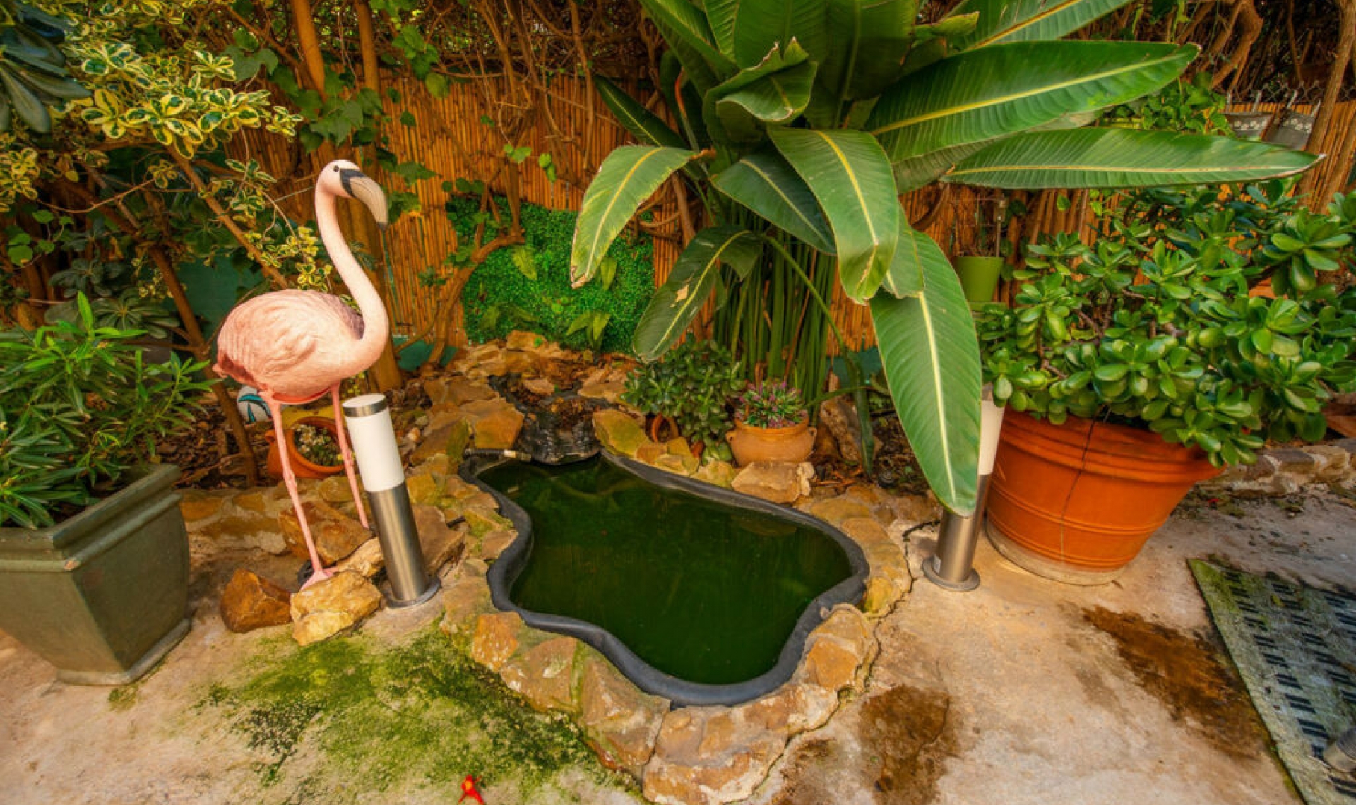 Resale - Apartment -
San Pedro de Alcántara