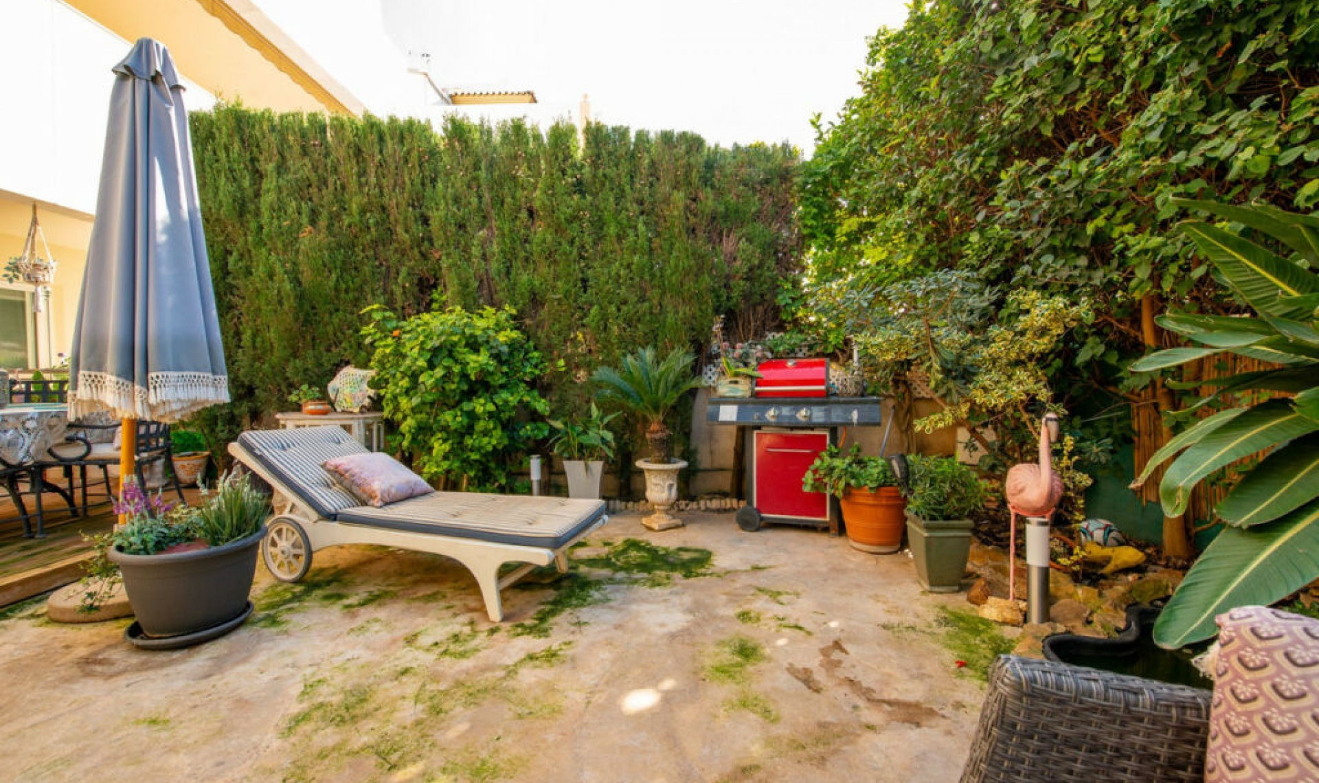 Resale - Apartment -
San Pedro de Alcántara