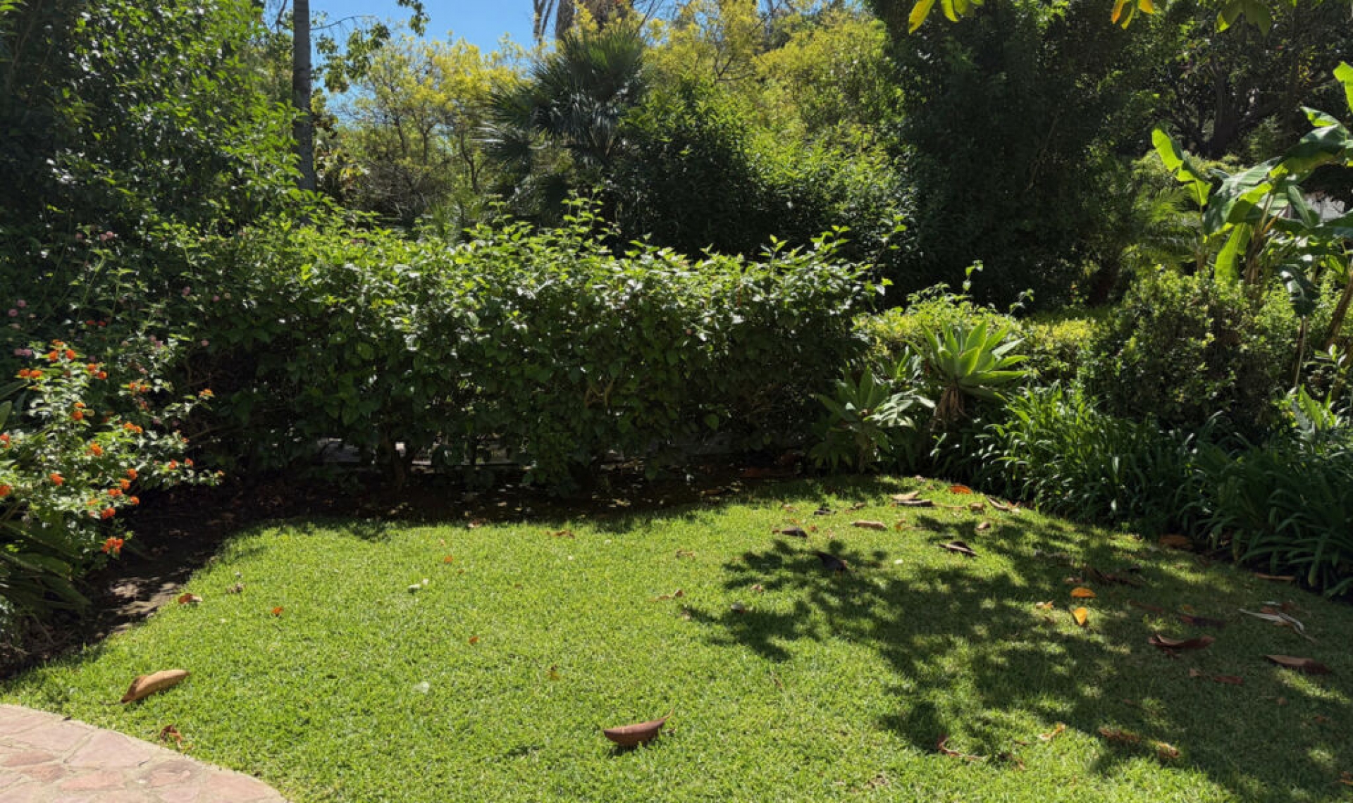 Resale - Apartment -
San Pedro de Alcántara