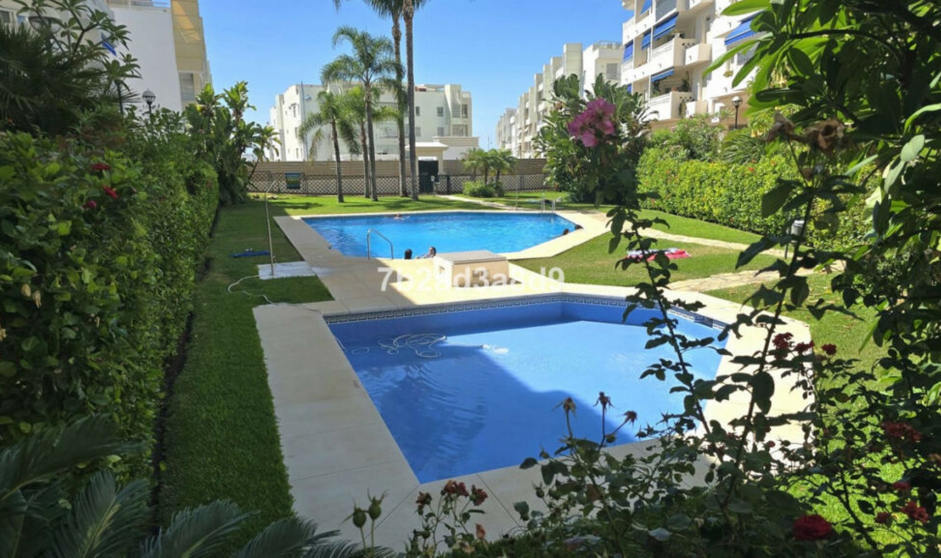 Resale - Apartment -
San Pedro de Alcántara