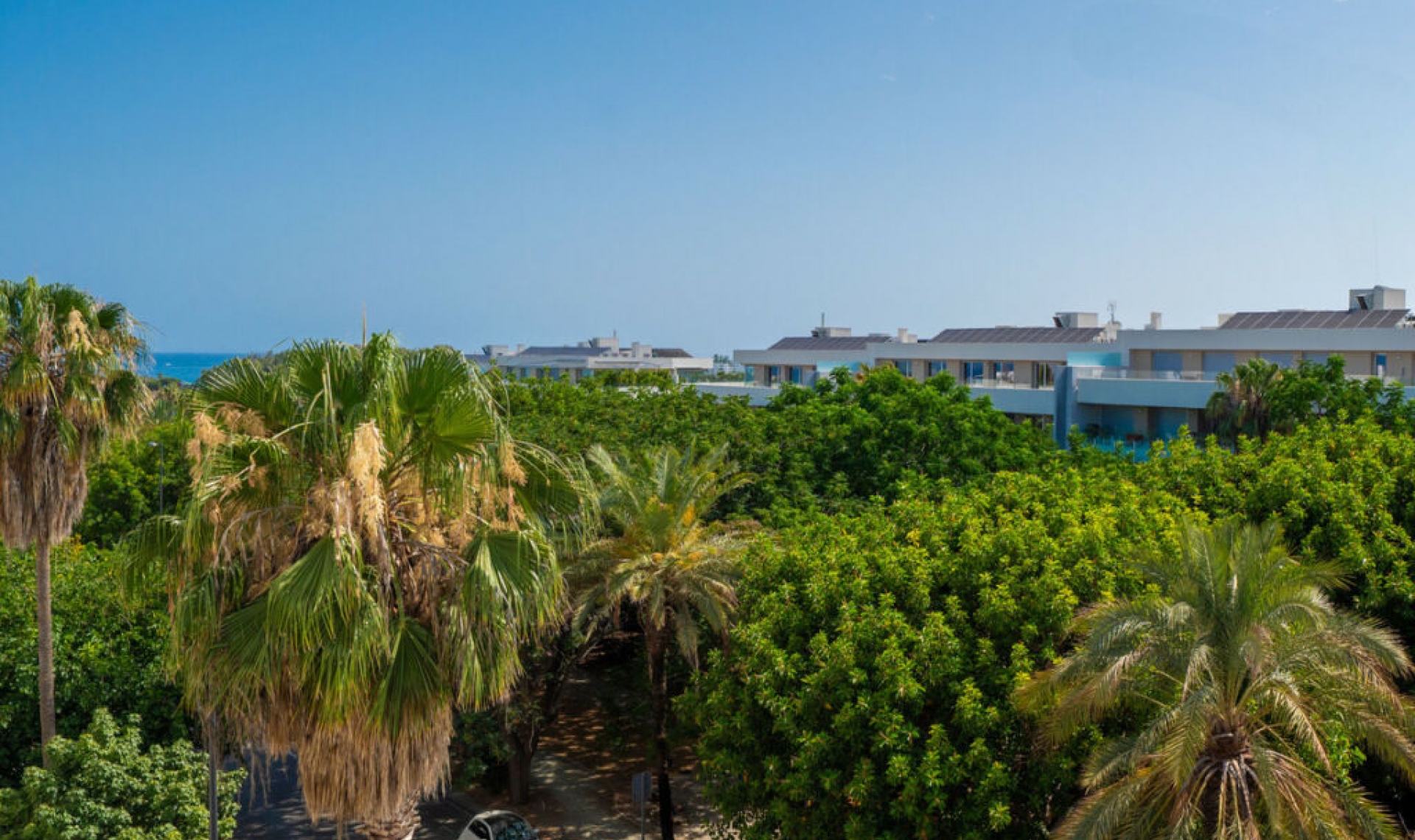 Resale - Apartment -
San Pedro de Alcántara