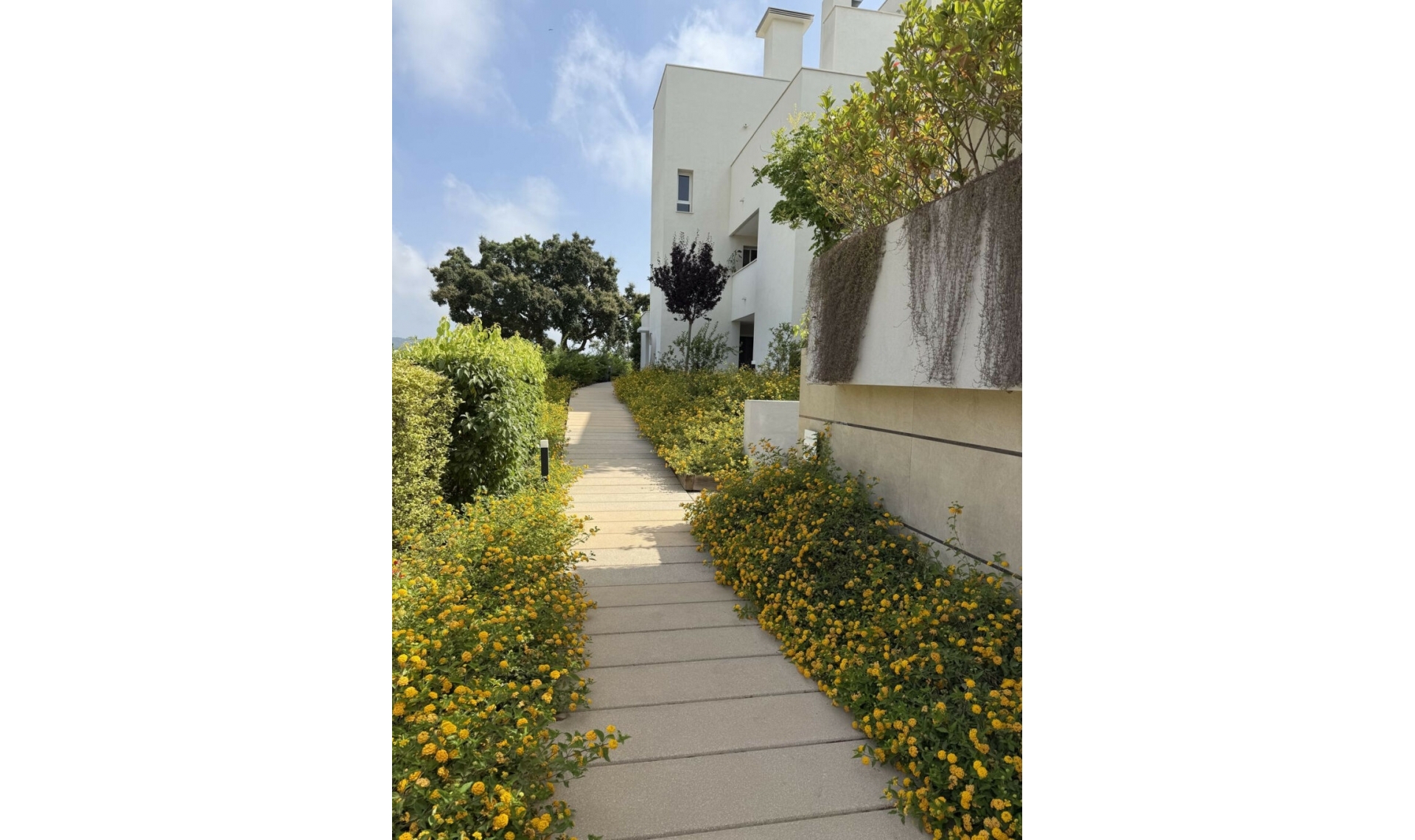 Resale - Apartment -
San Roque Club