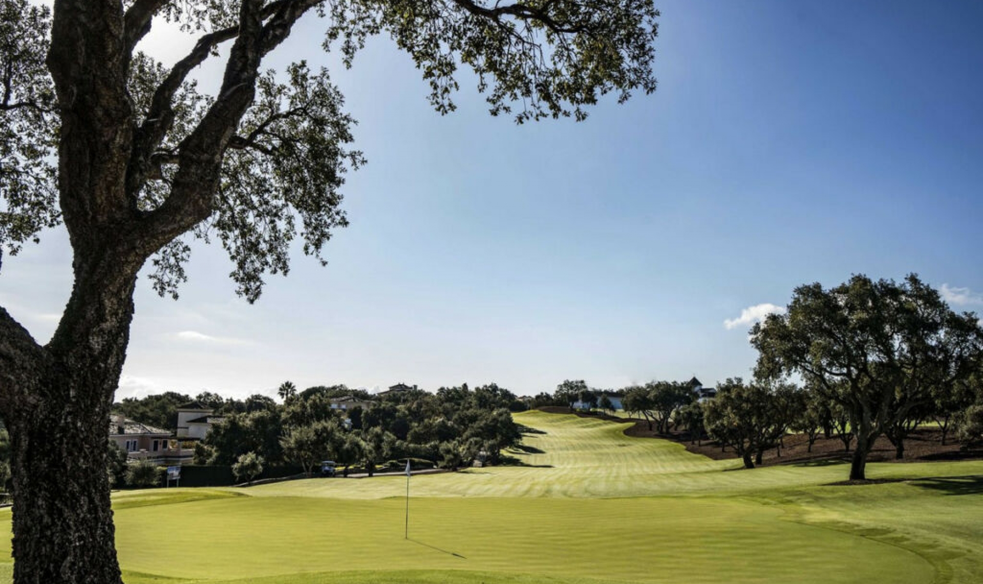 Resale - Apartment -
San Roque