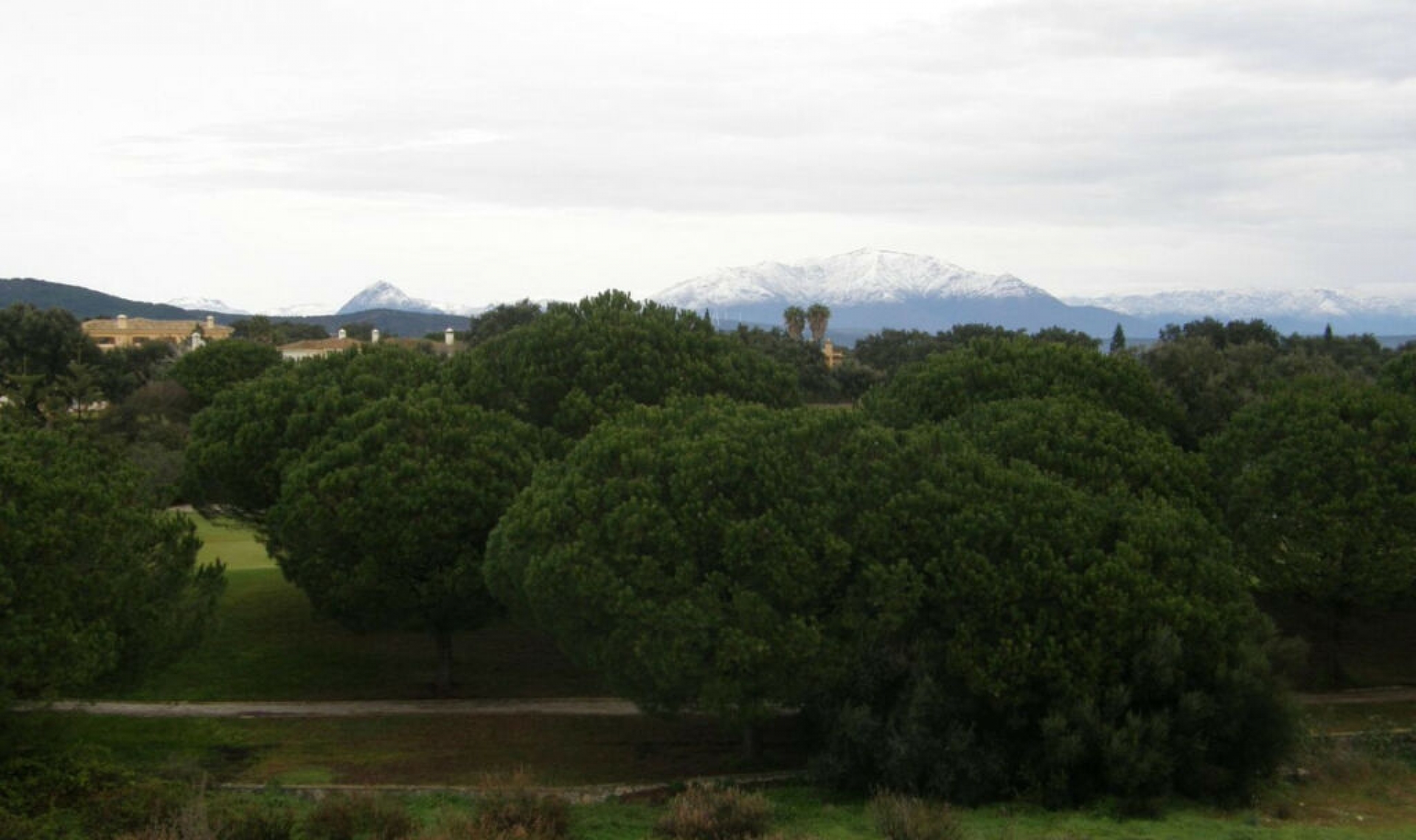 Resale - Apartment -
San Roque