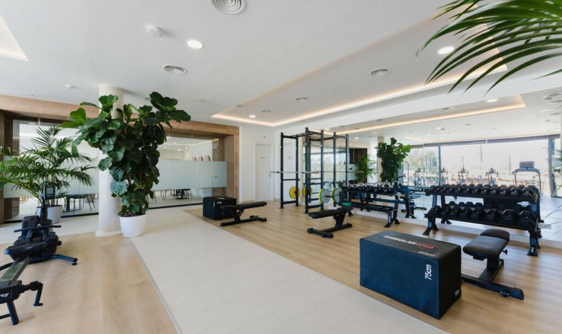 Resale - Apartment -
Santa Clara