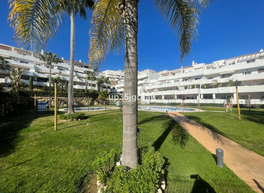 Resale - Apartment -
Selwo