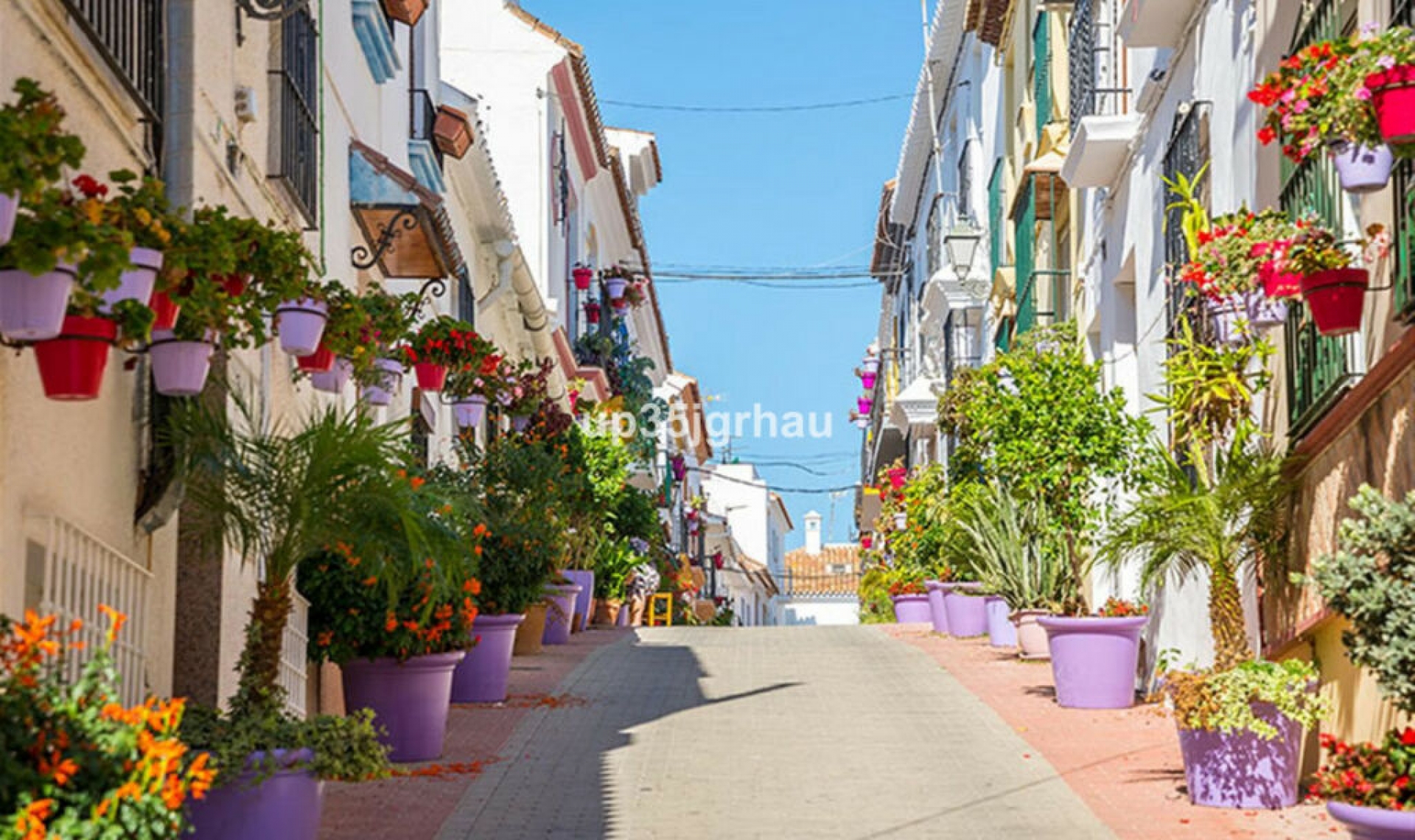 Resale - Apartment -
Selwo