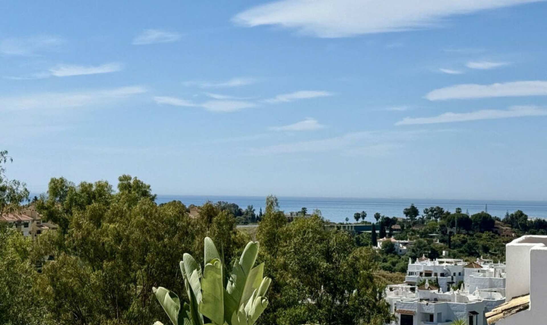 Resale - Apartment -
Selwo
