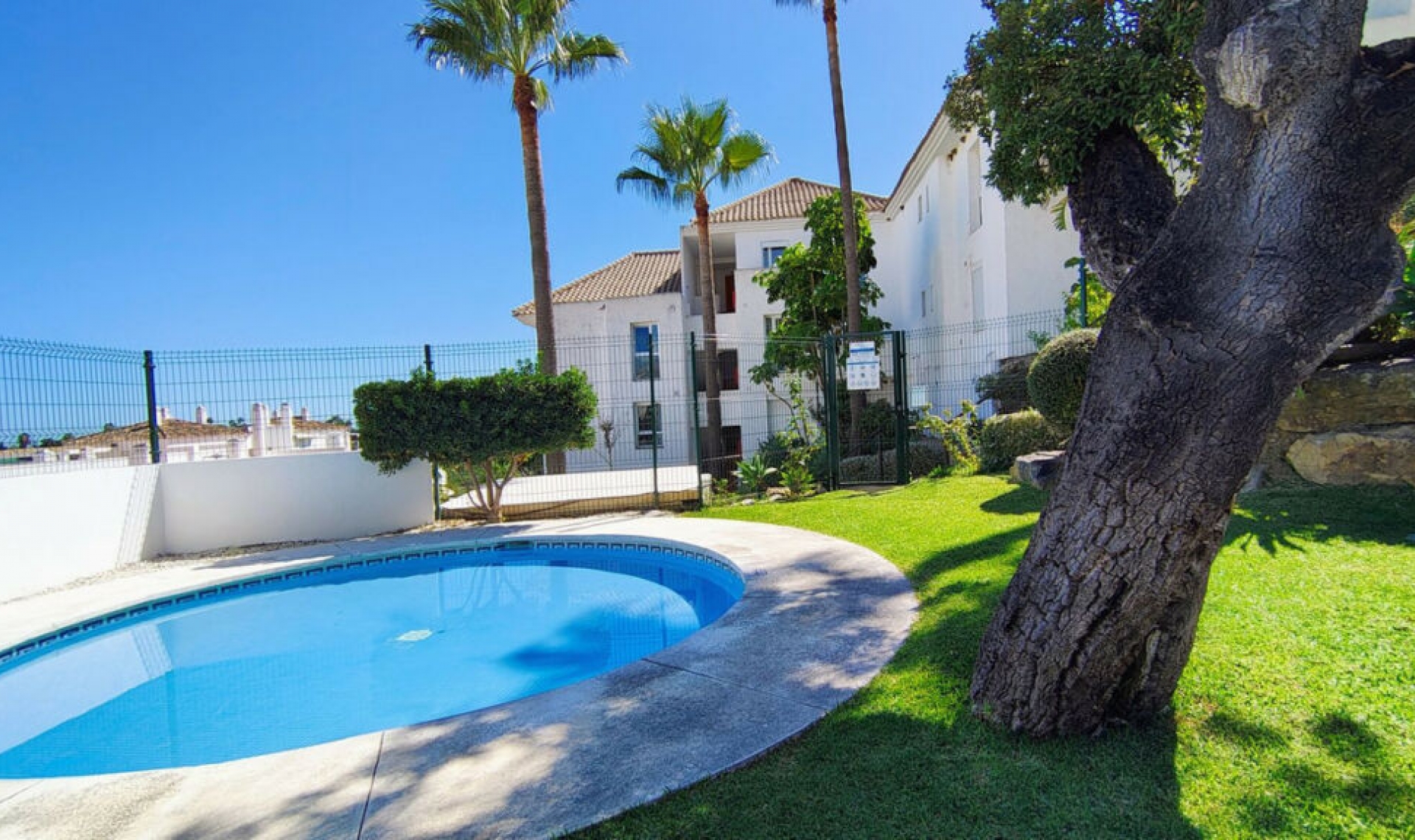 Resale - Apartment -
Selwo