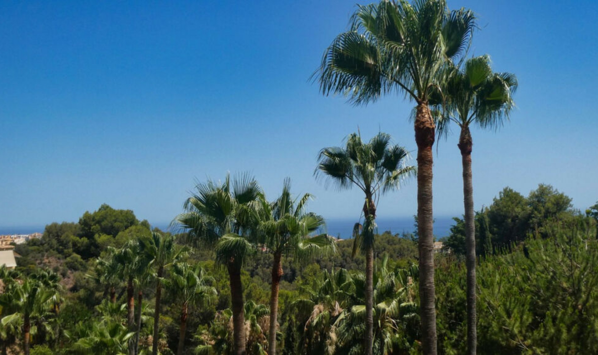 Resale - Apartment -
Sierra Blanca