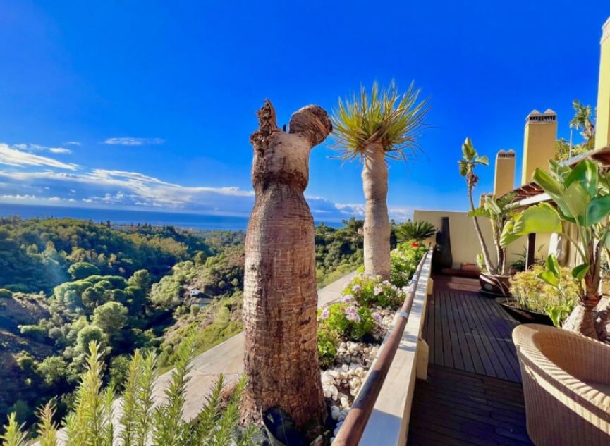 Resale - Apartment -
Sierra Blanca