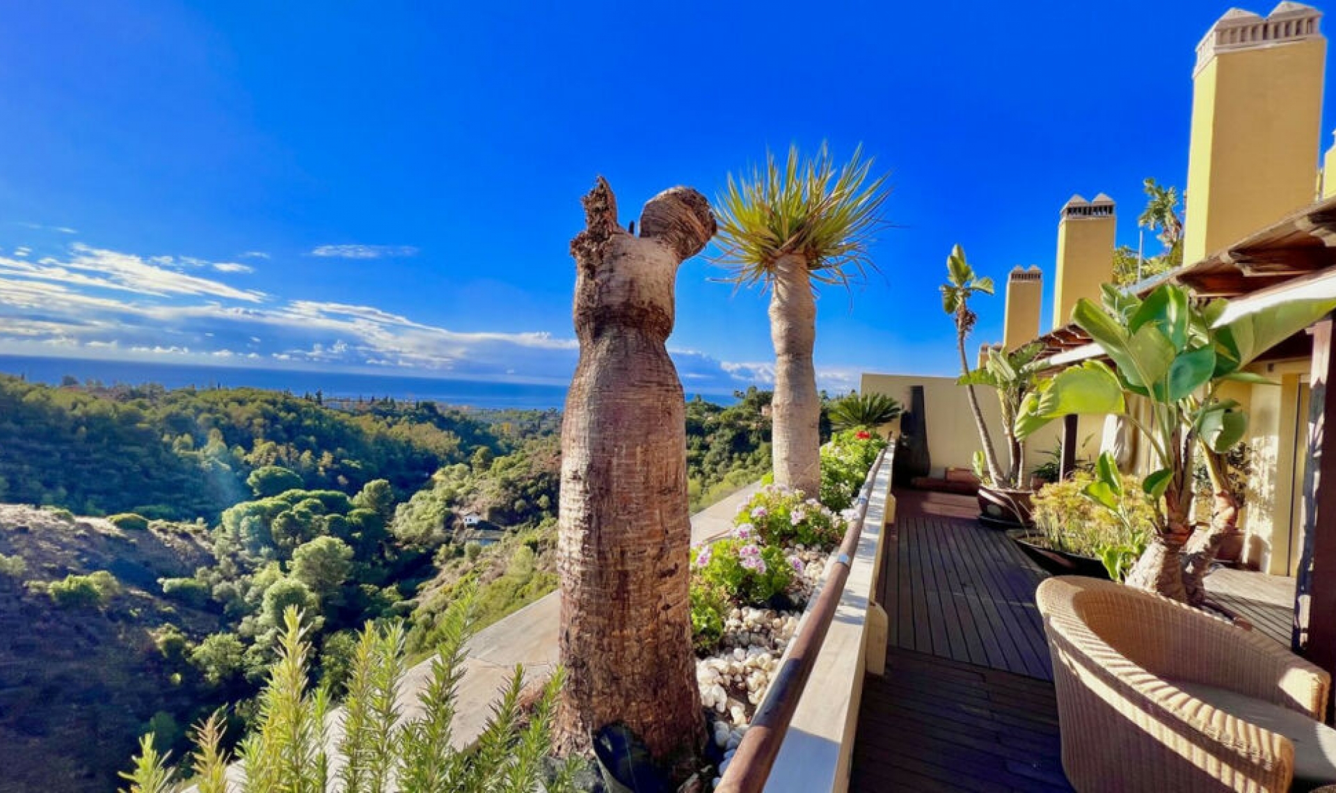 Resale - Apartment -
Sierra Blanca