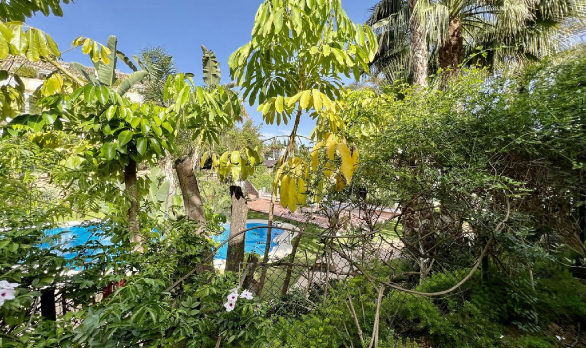 Resale - Apartment -
The Golden Mile