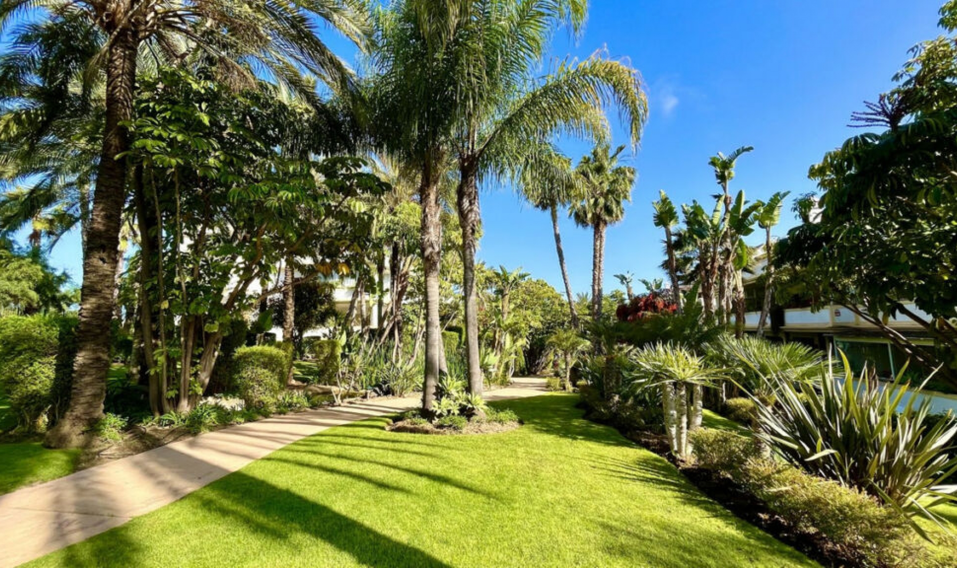 Resale - Apartment -
The Golden Mile