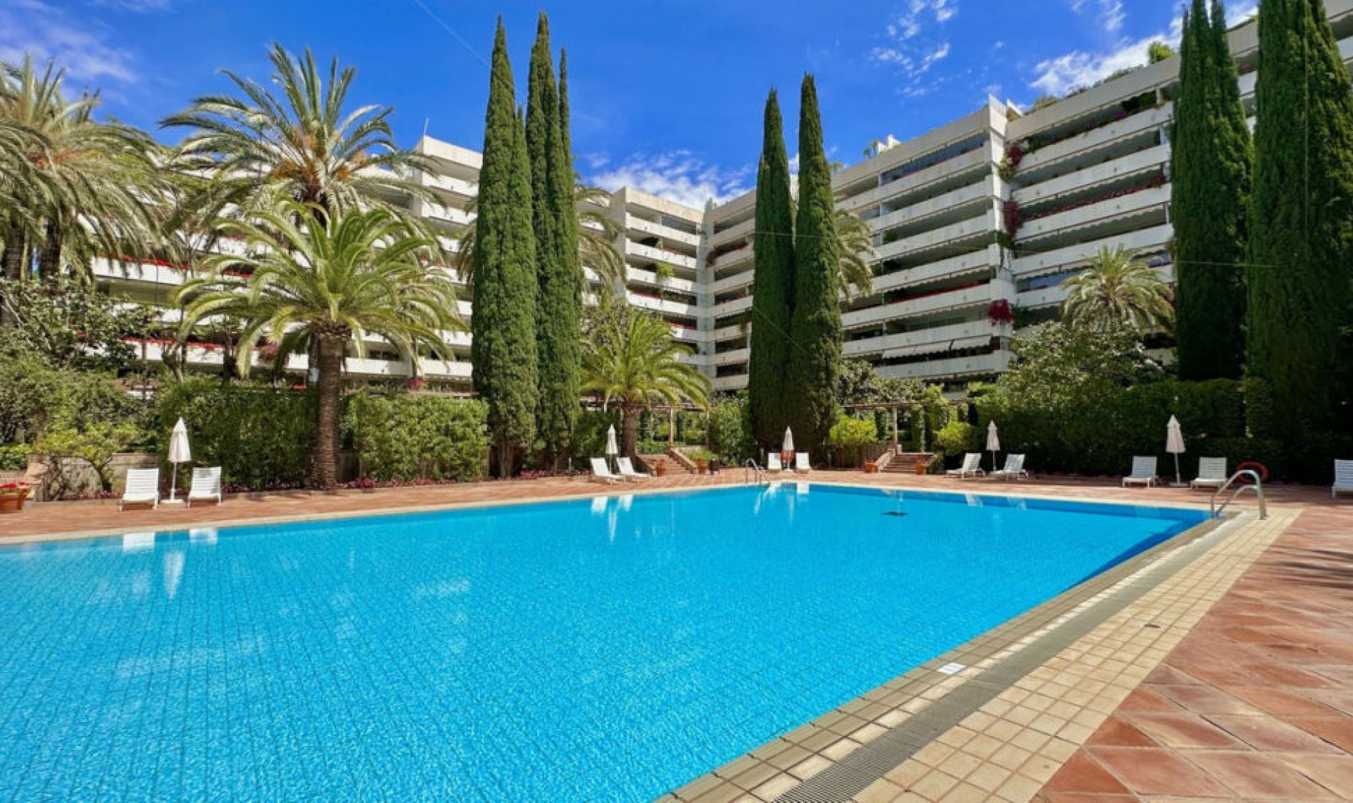 Resale - Apartment -
The Golden Mile