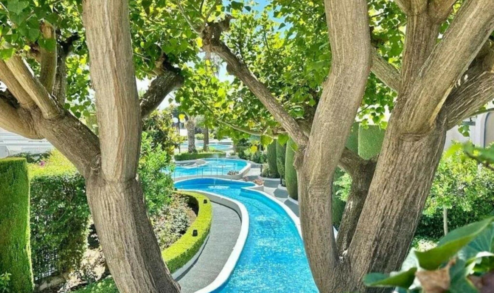 Resale - Apartment -
The Golden Mile