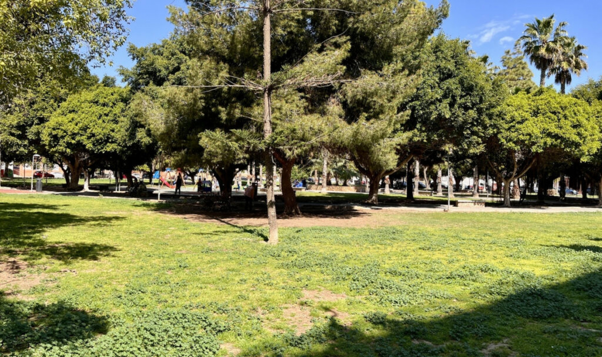 Resale - Apartment -
Torrevieja