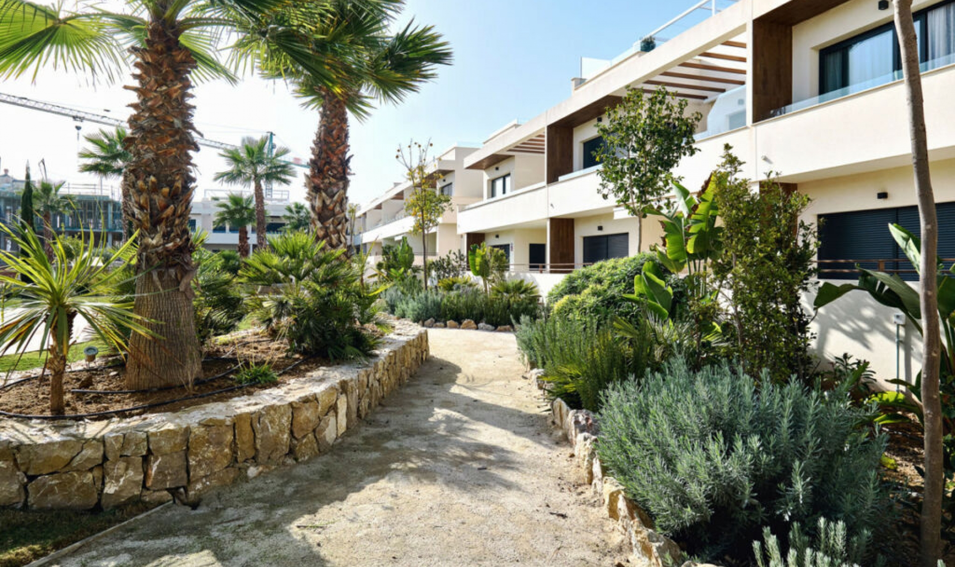 Resale - Apartment -
Torrevieja