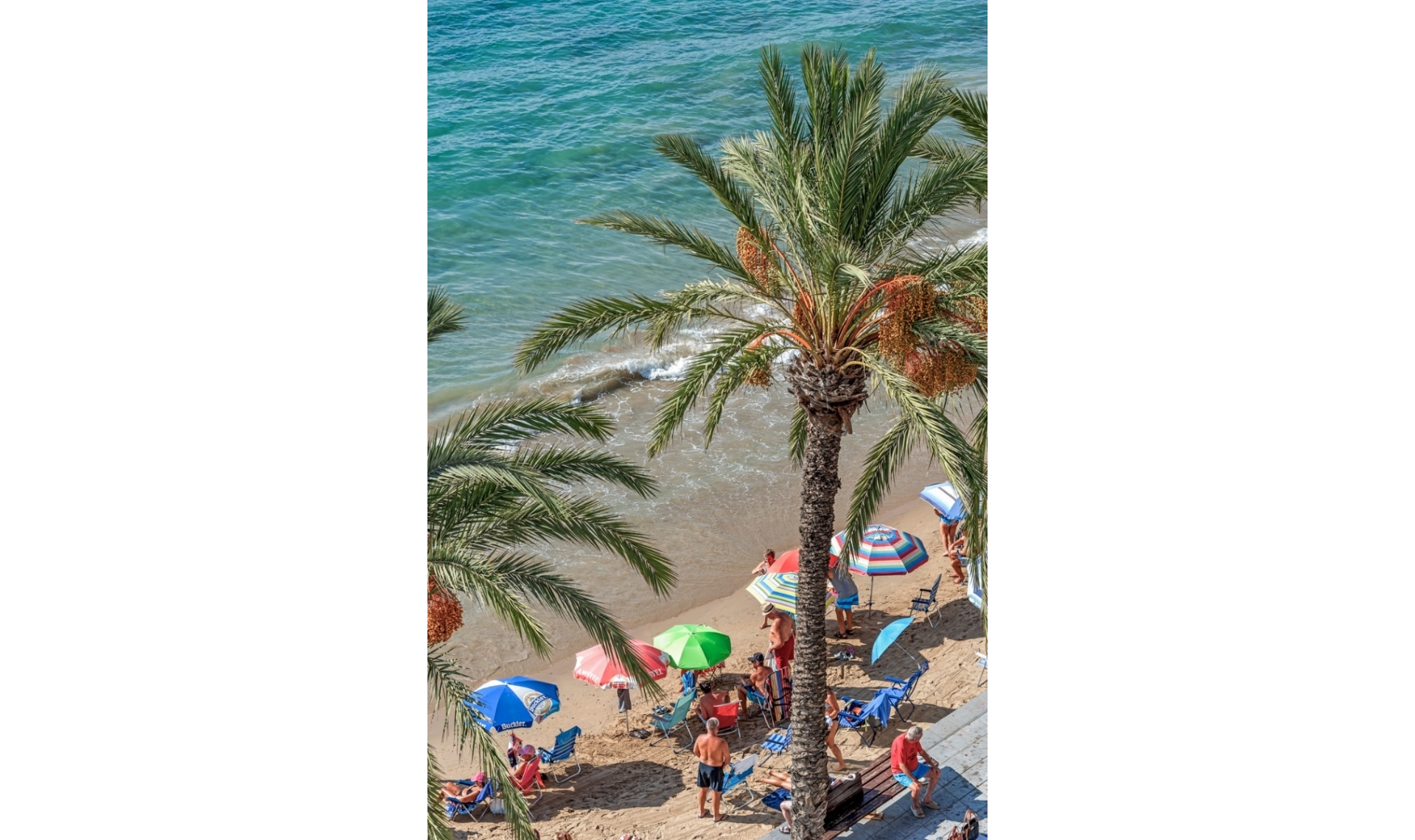 Resale - Apartment -
Torrevieja