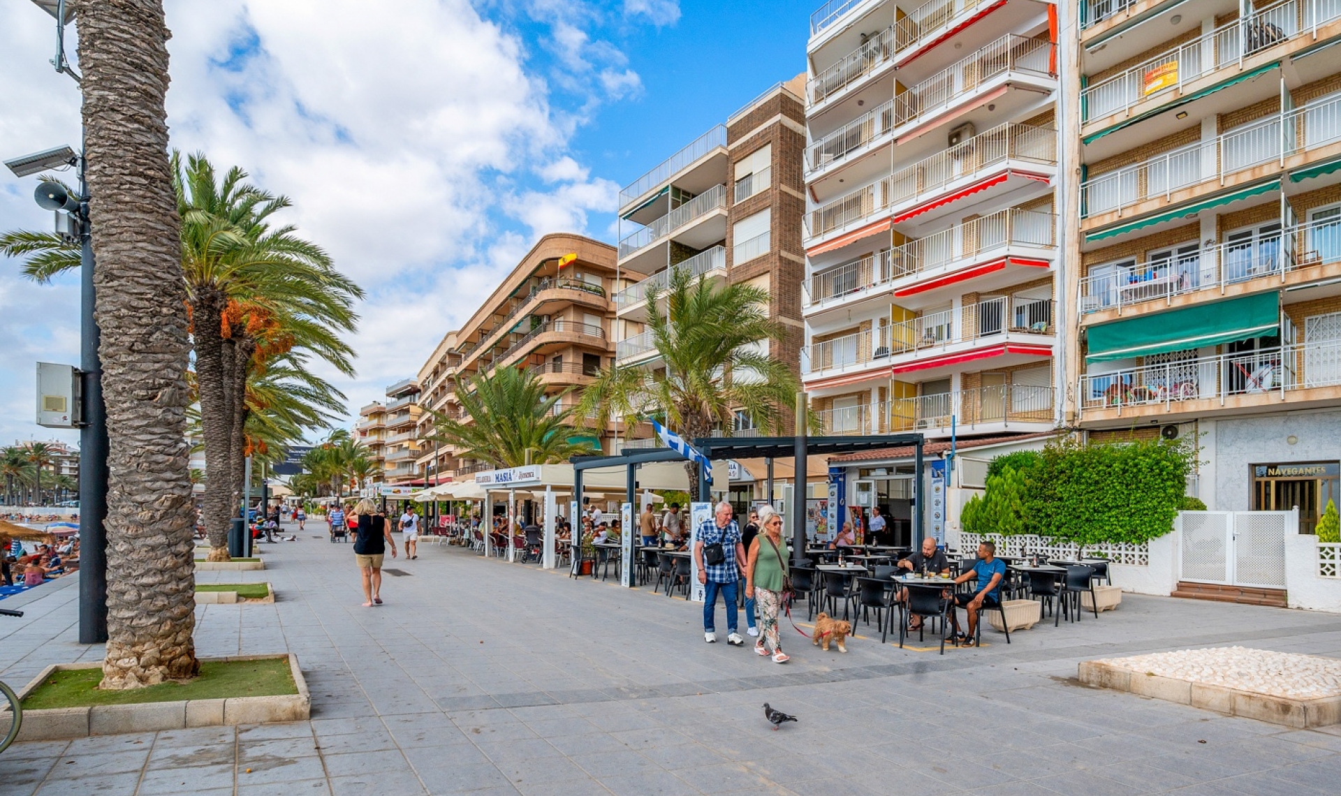 Resale - Apartment -
Torrevieja