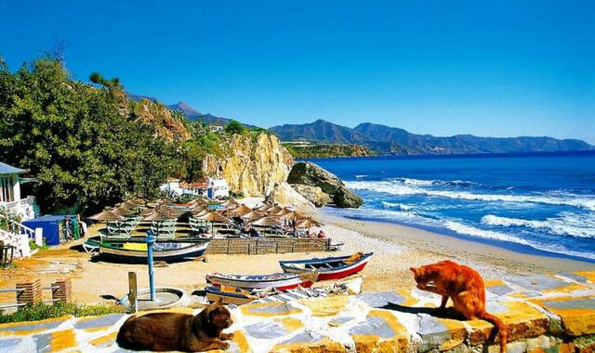 Resale - Apartment -
Torrox