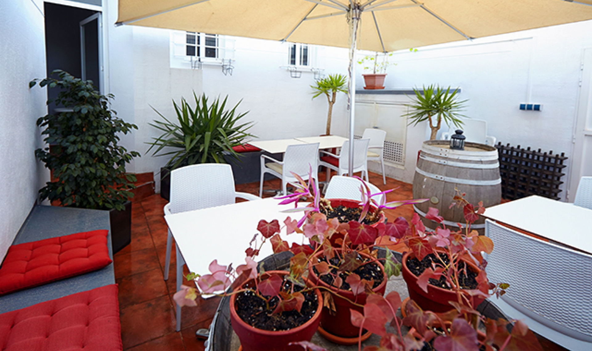 Resale - Commercial -
Benijofar