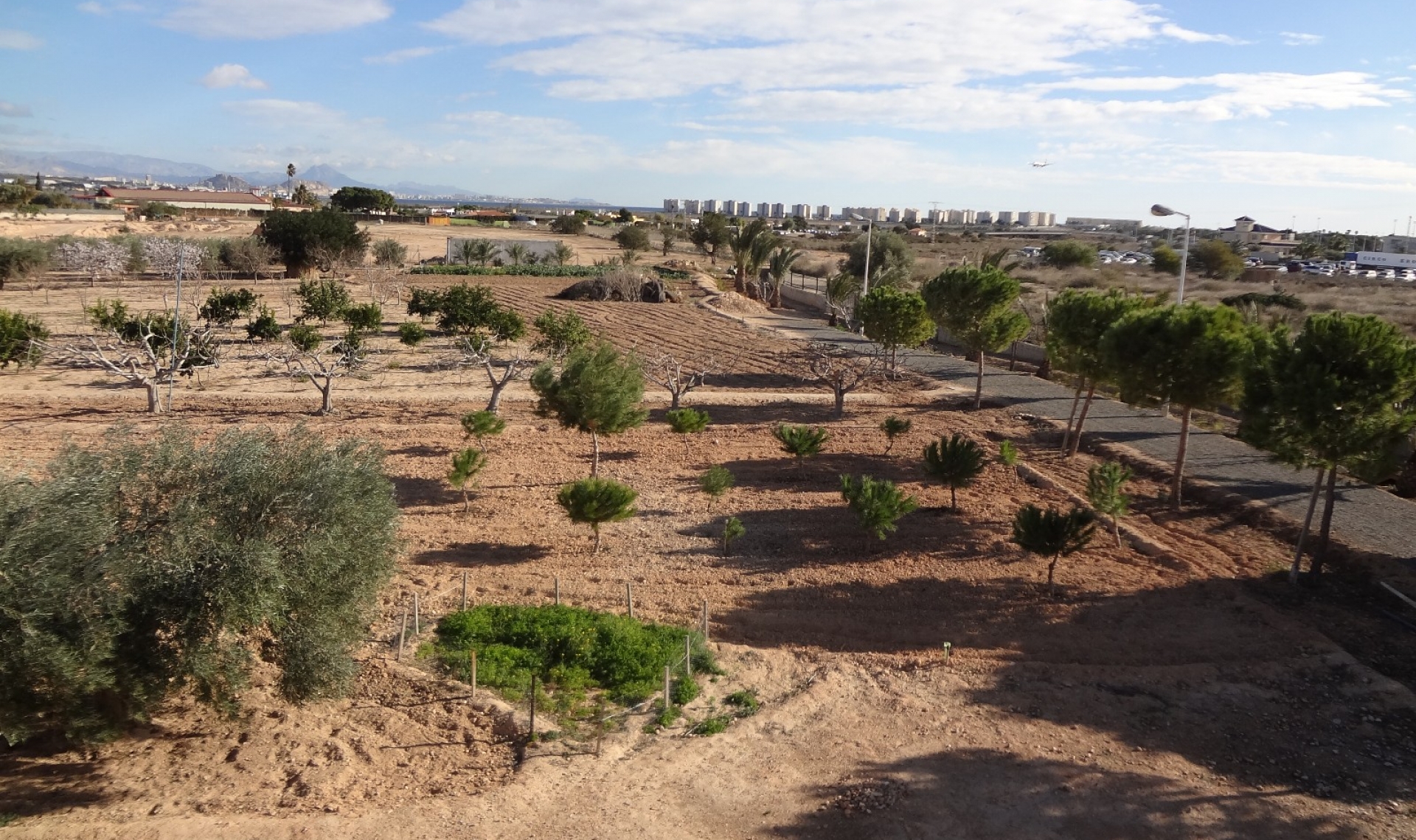 Resale - Country estate -
El Altet