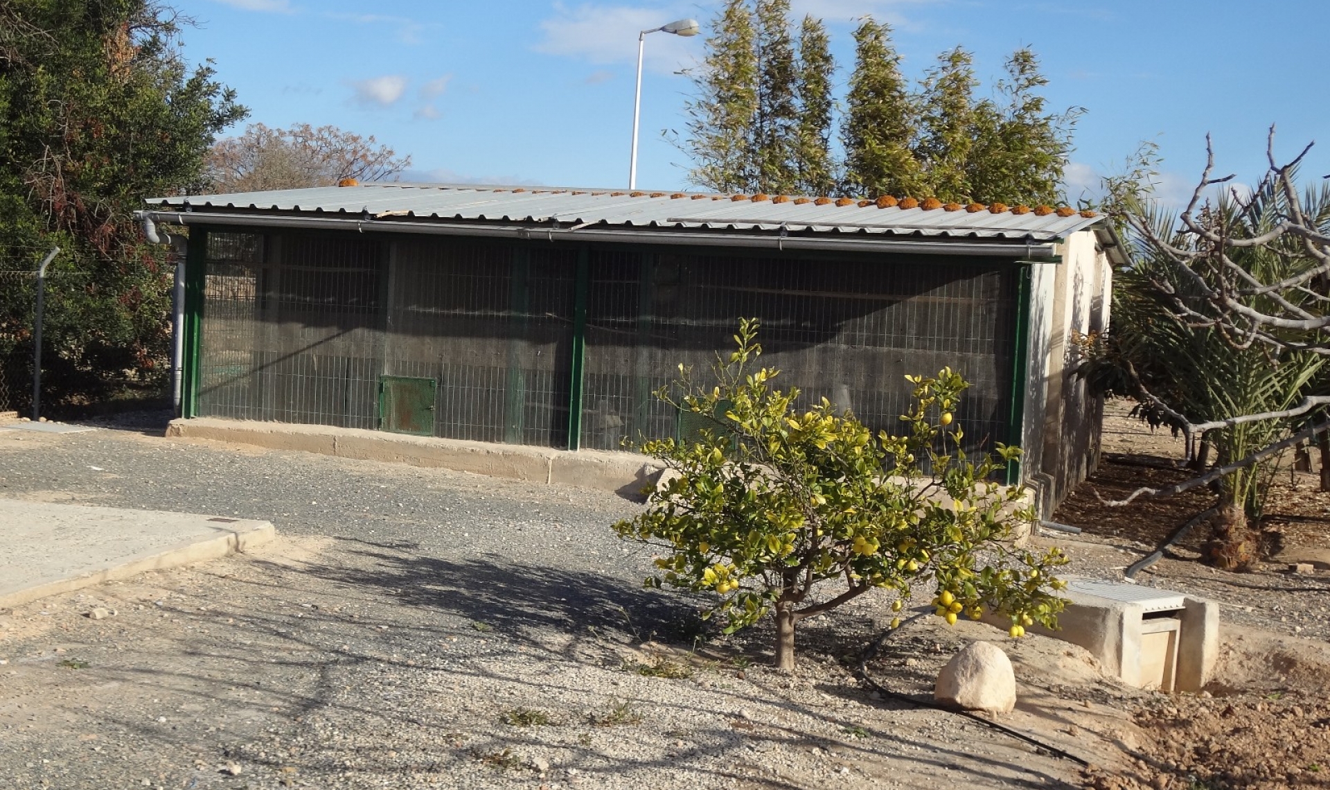 Resale - Country estate -
El Altet