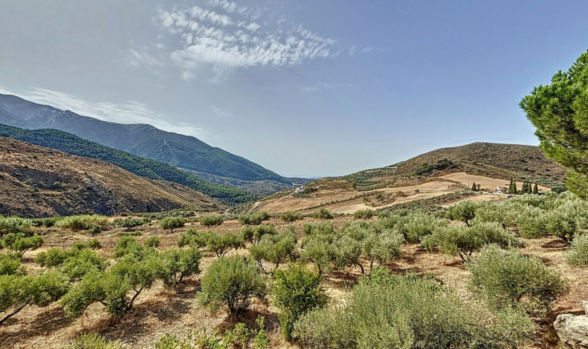 Resale - House -
Alcaucín