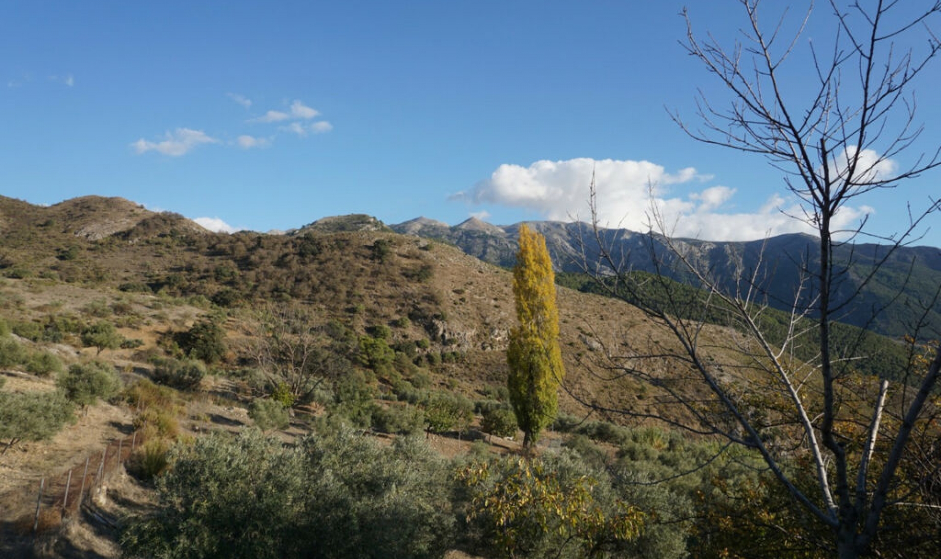 Resale - House -
Alcaucín