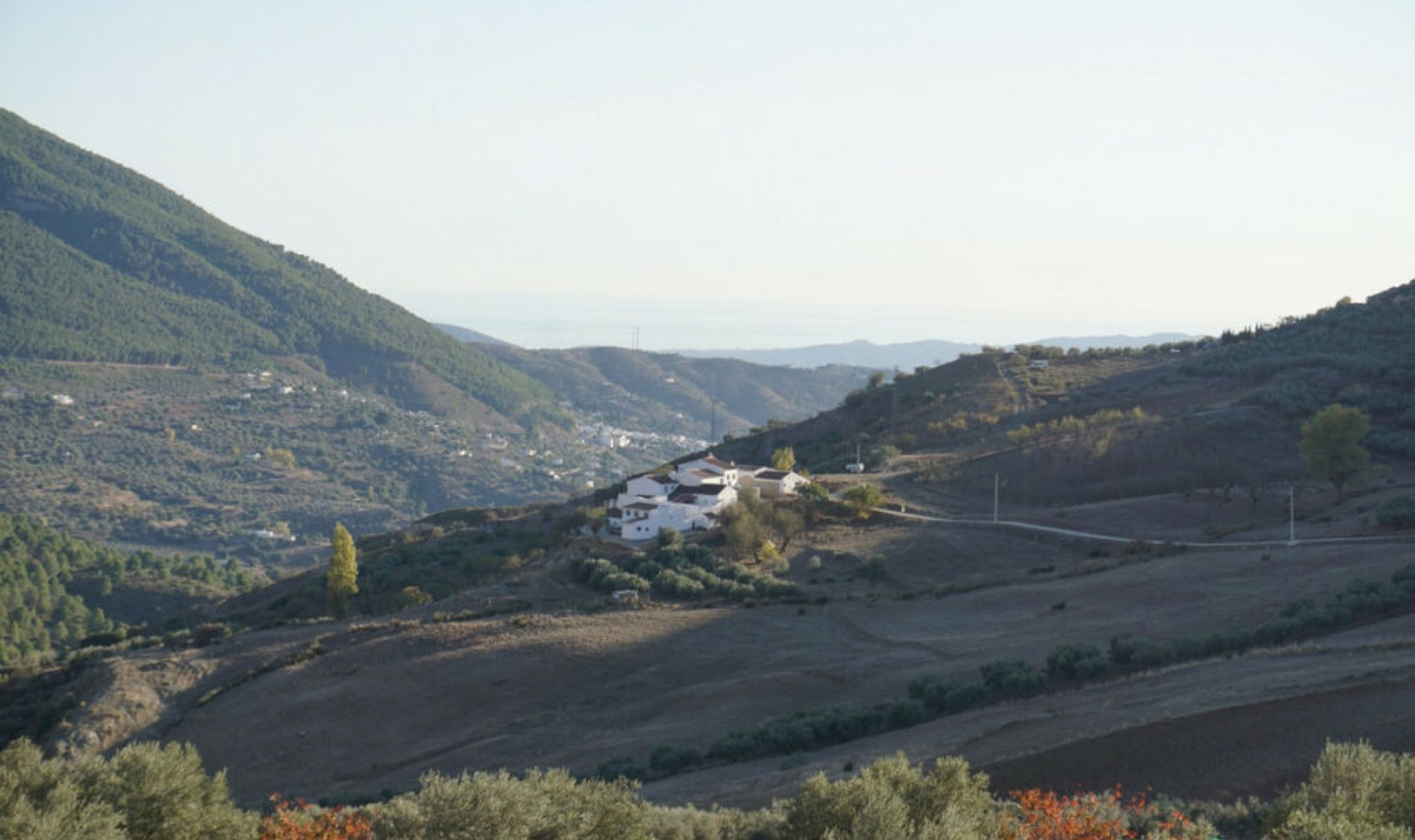 Resale - House -
Alcaucín