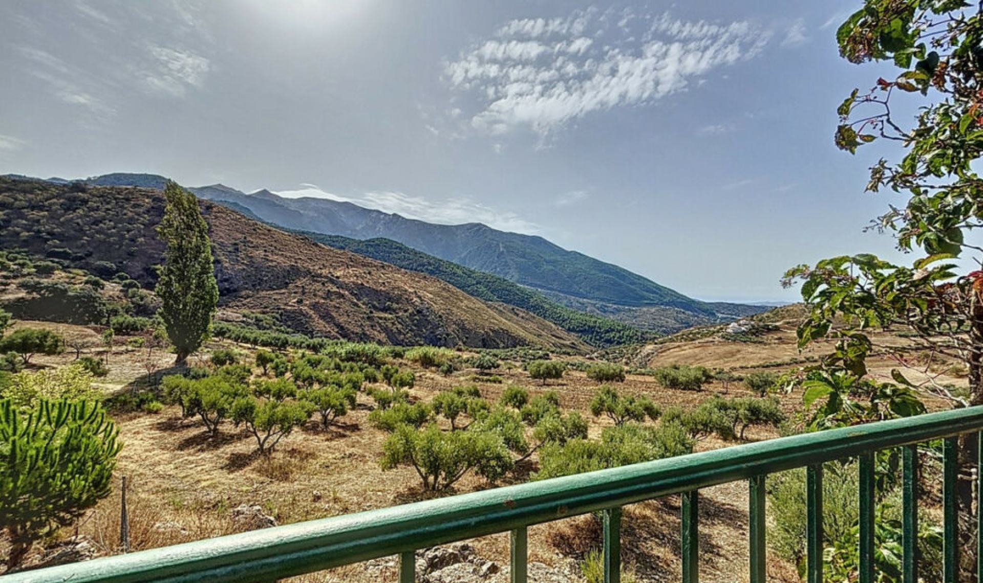 Resale - House -
Alcaucín