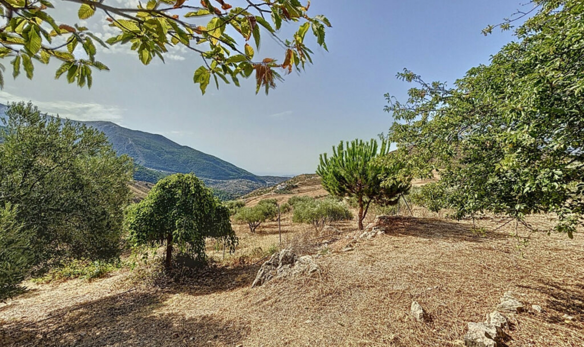 Resale - House -
Alcaucín