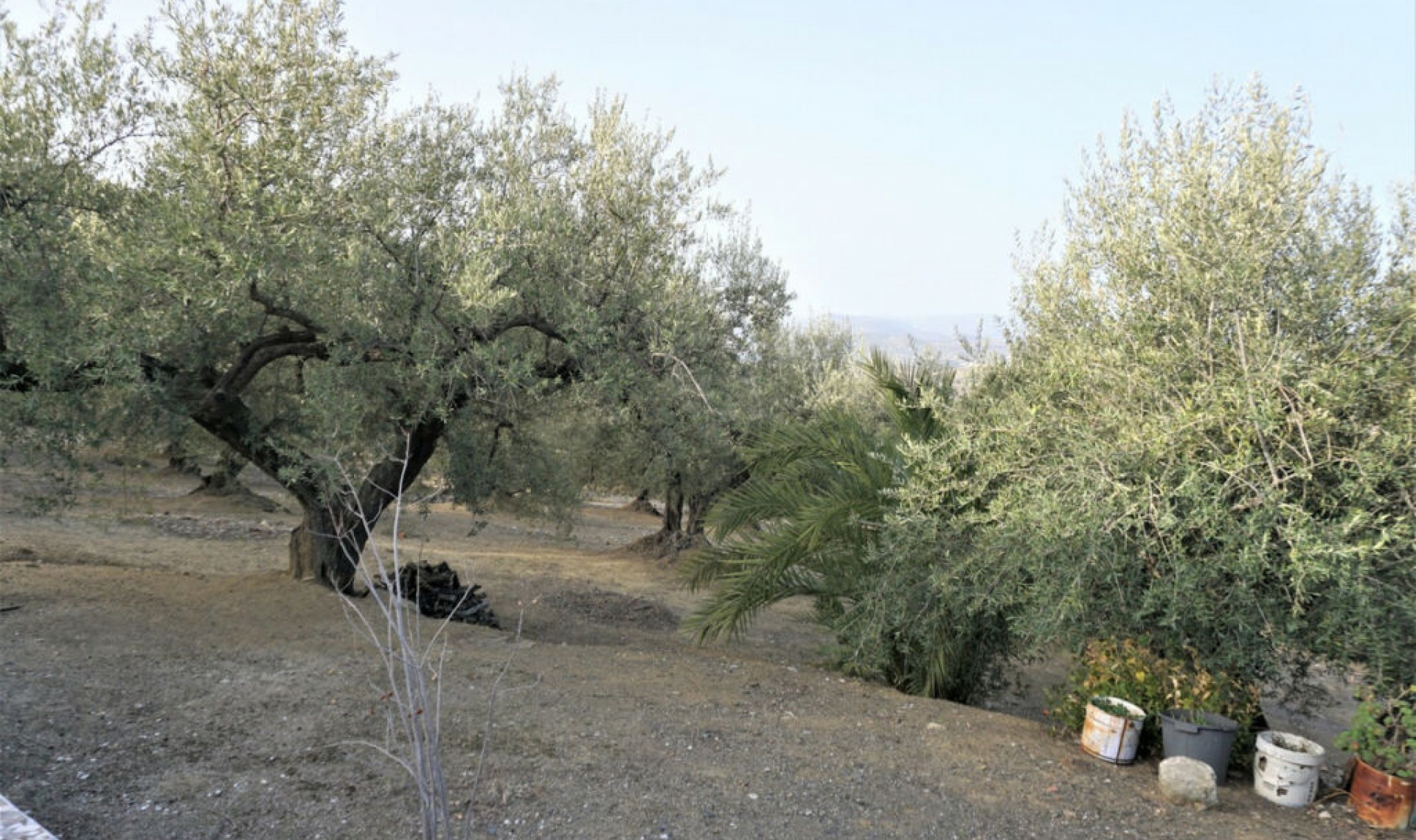 Resale - House -
Alcaucín
