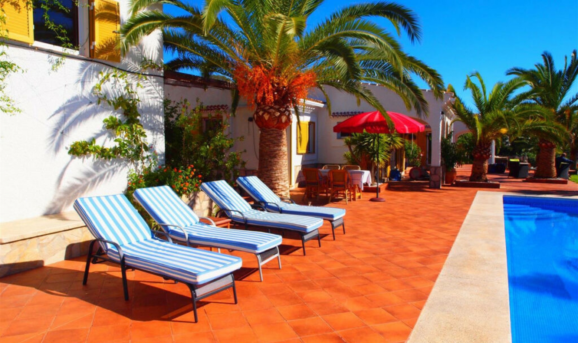 Resale - House -
Algarrobo