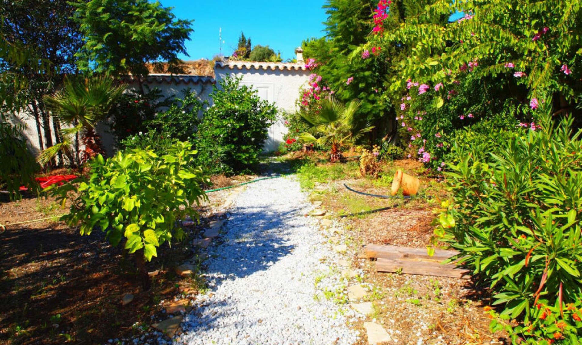 Resale - House -
Algarrobo