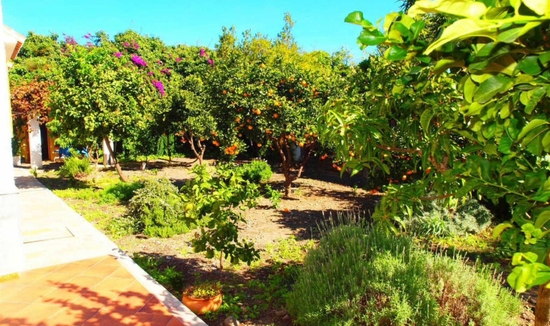 Resale - House -
Algarrobo