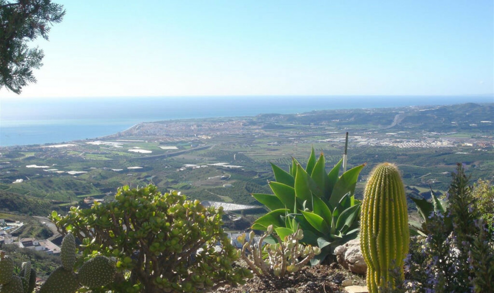 Resale - House -
Algarrobo