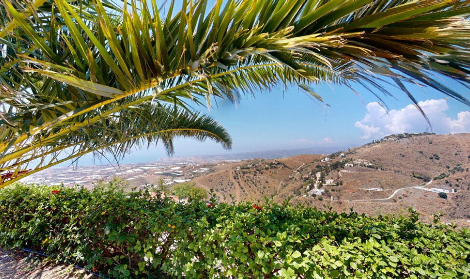 Resale - House -
Algarrobo