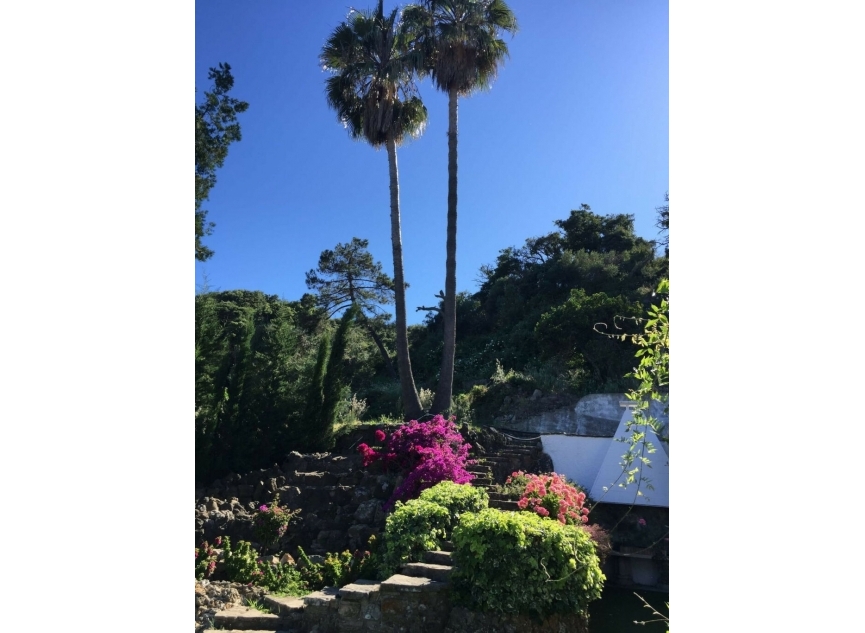 Resale - House -
Algeciras