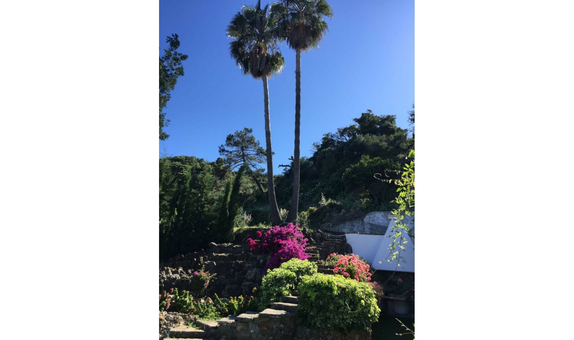 Resale - House -
Algeciras