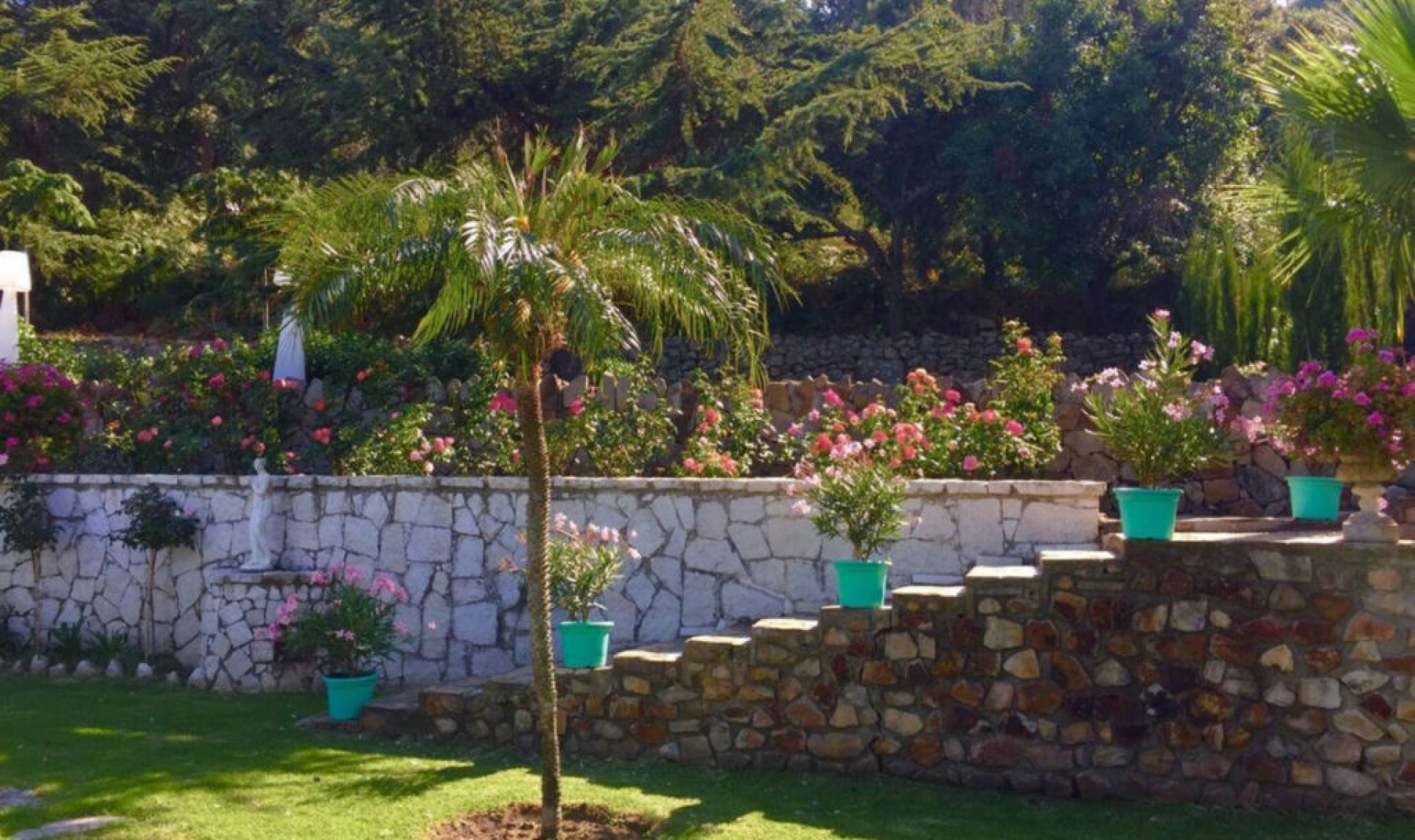 Resale - House -
Algeciras