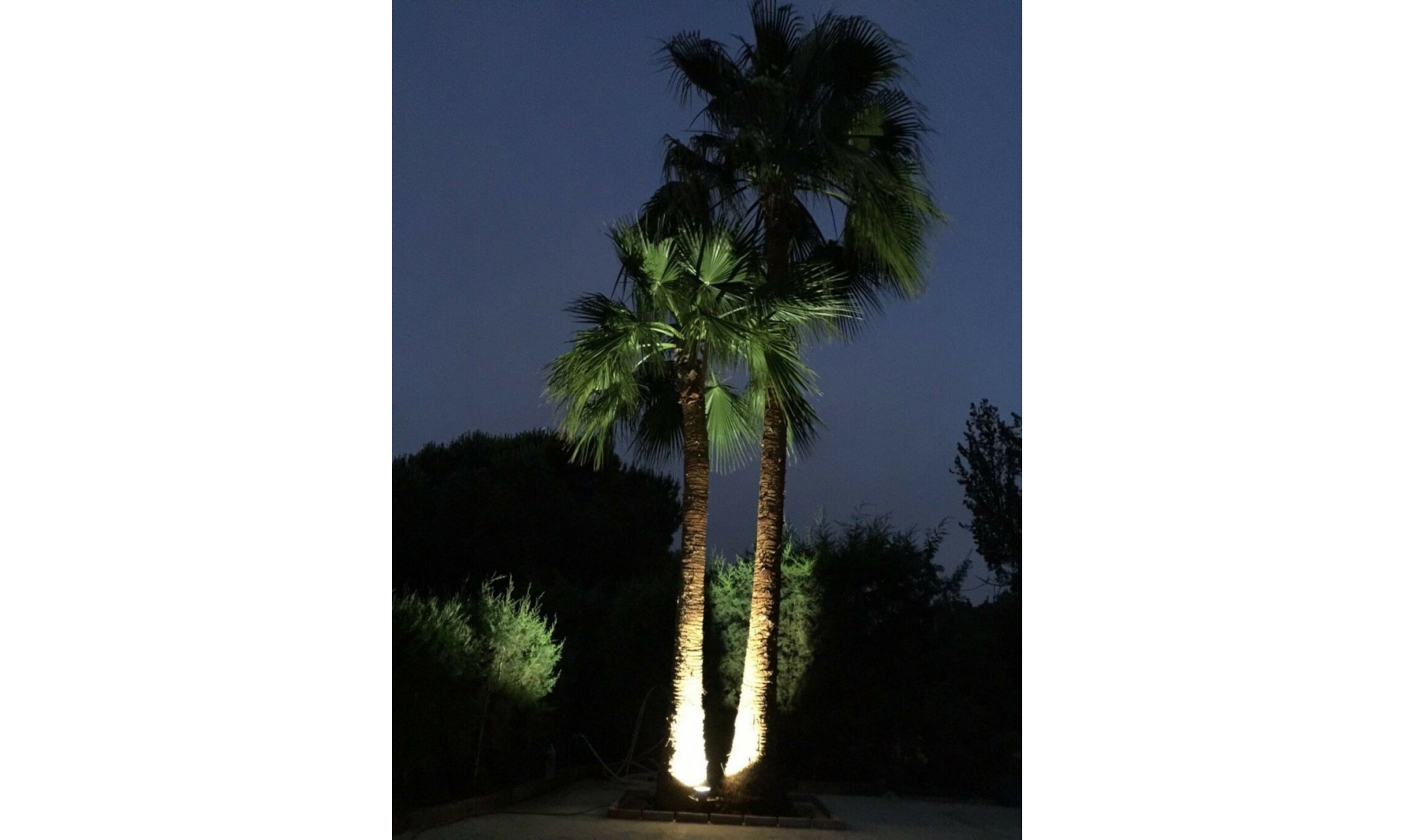 Resale - House -
Algeciras