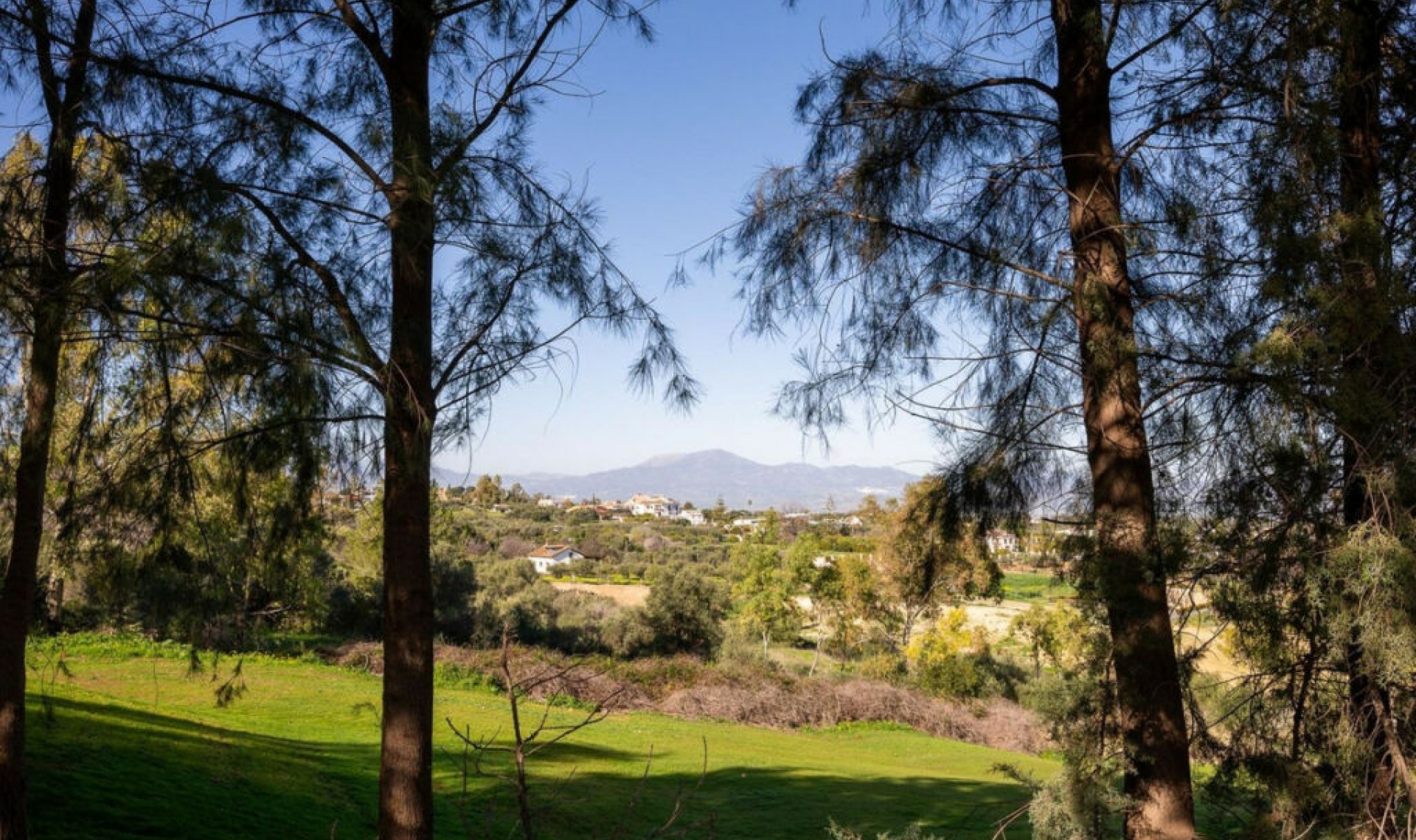 Resale - House -
Alhaurín de la Torre