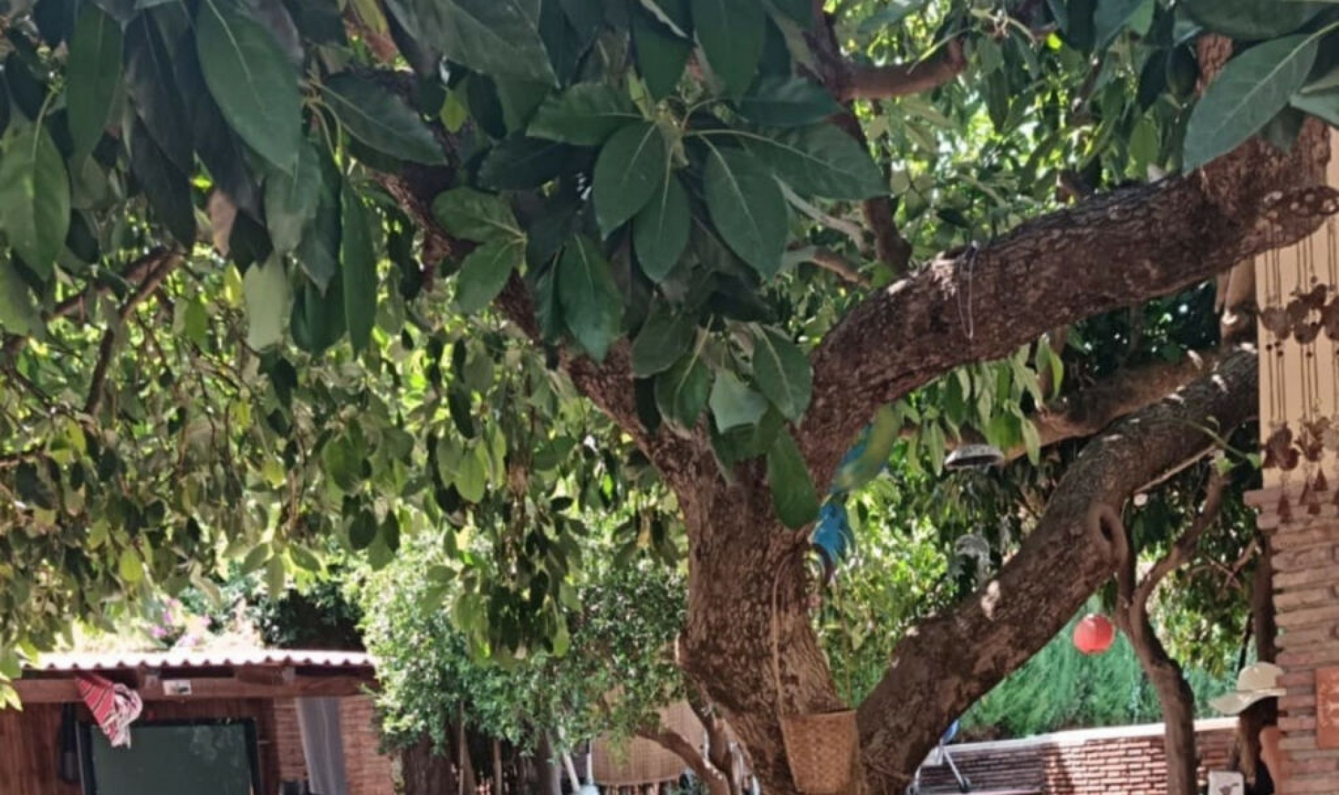 Resale - House -
Alhaurín el Grande