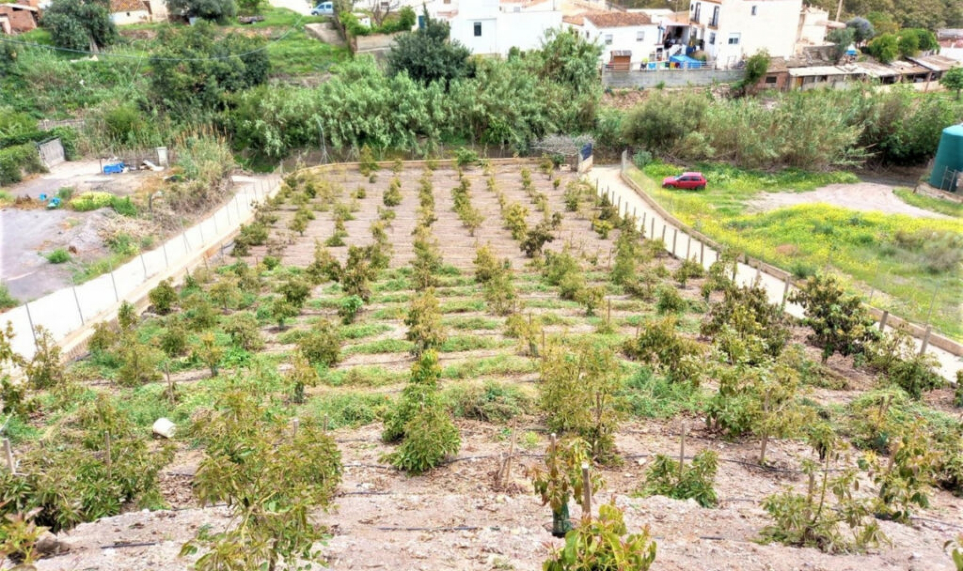 Resale - House -
Almayate