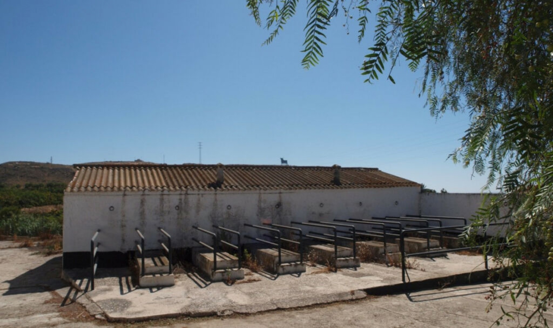Resale - House -
Almayate